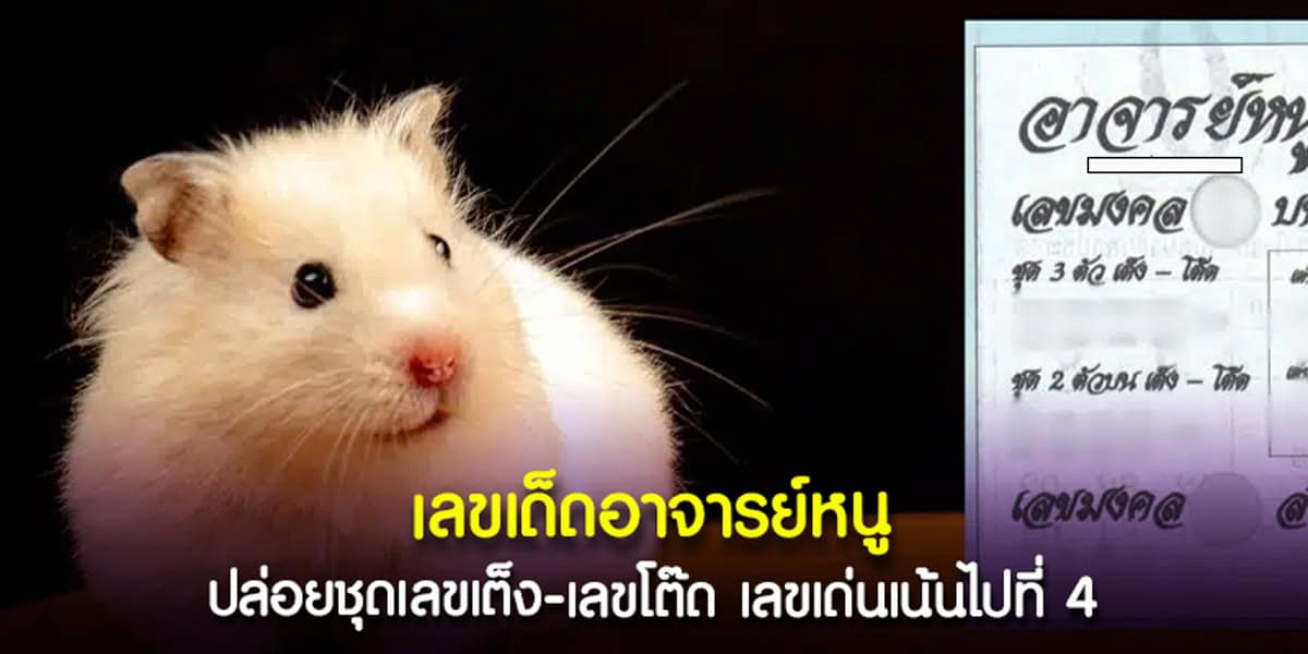 อาจารย์หนูแจกแนวทางเลขเด็ด