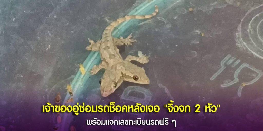 เลขเด็ด จิ้งจก 2 หัว