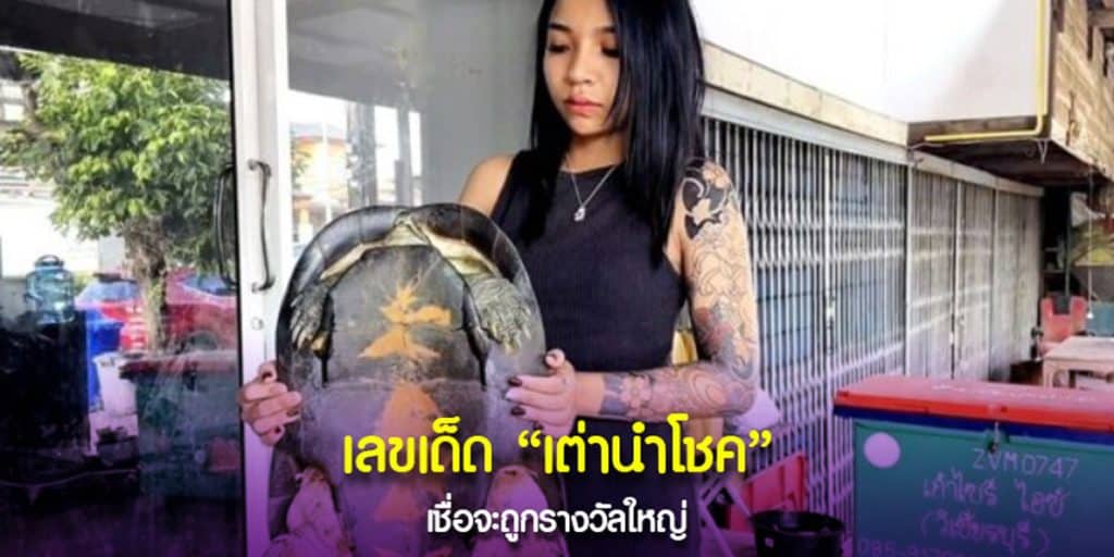 เลขเต่ายักษ์