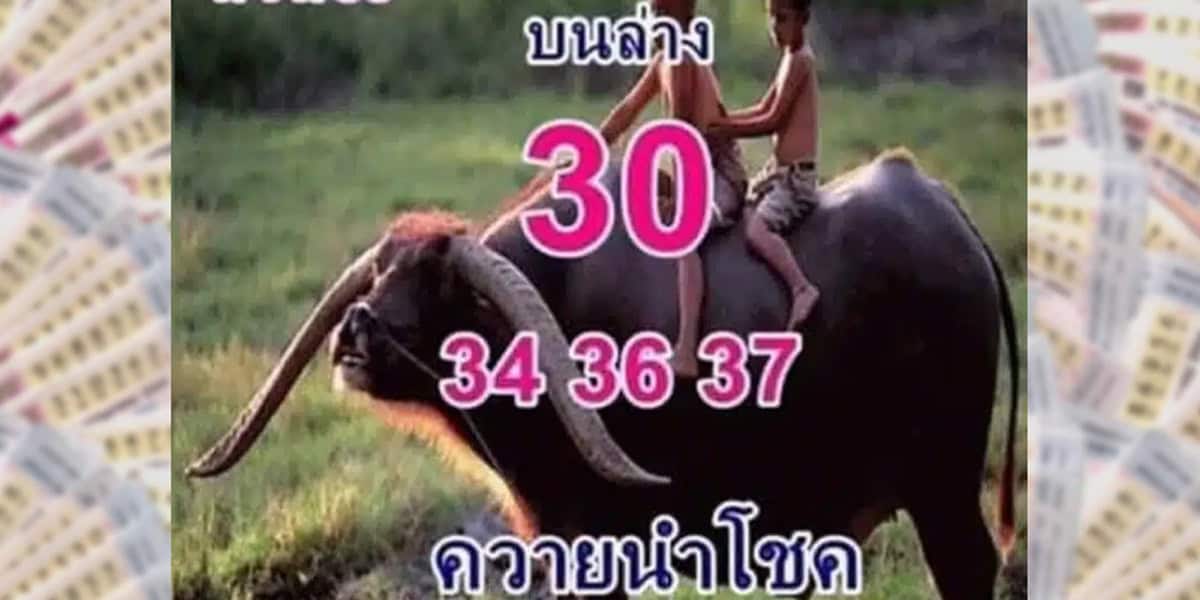 โอกาสเข้ารางวัลที่ 1 แนวทางควายนำโชค สำนักดังในโลกออนไลน์ น่าจับตามอง