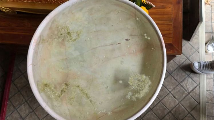 อยากโชคดีต้องซื้อ “เลขแม่น” จากวัดดัง เพราะบันดาลทรัพย์หลักแสนบาทจริง 2